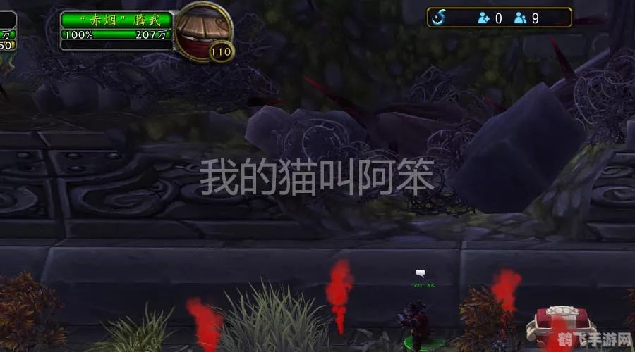 天堂2透视镜,天堂2透视镜，探索隐藏世界的神秘道具