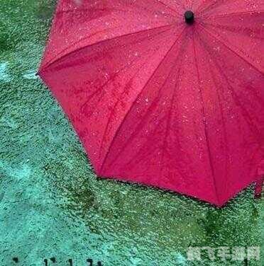 红雨瓢泼，探索回忆之潜的奇幻冒险