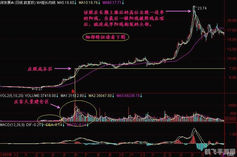中信金通通达信版,中信金通通达信版，股市模拟新体验