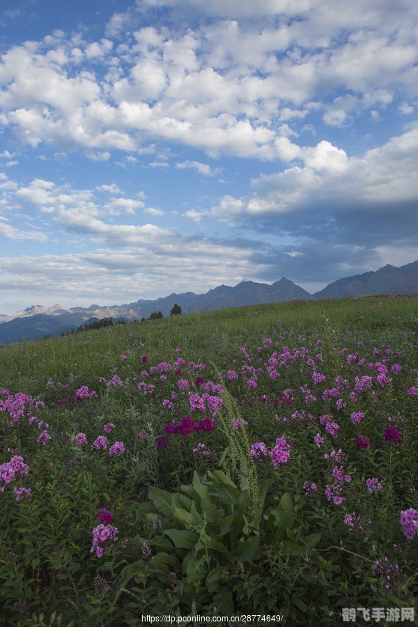 花冠的大地,花冠的大地