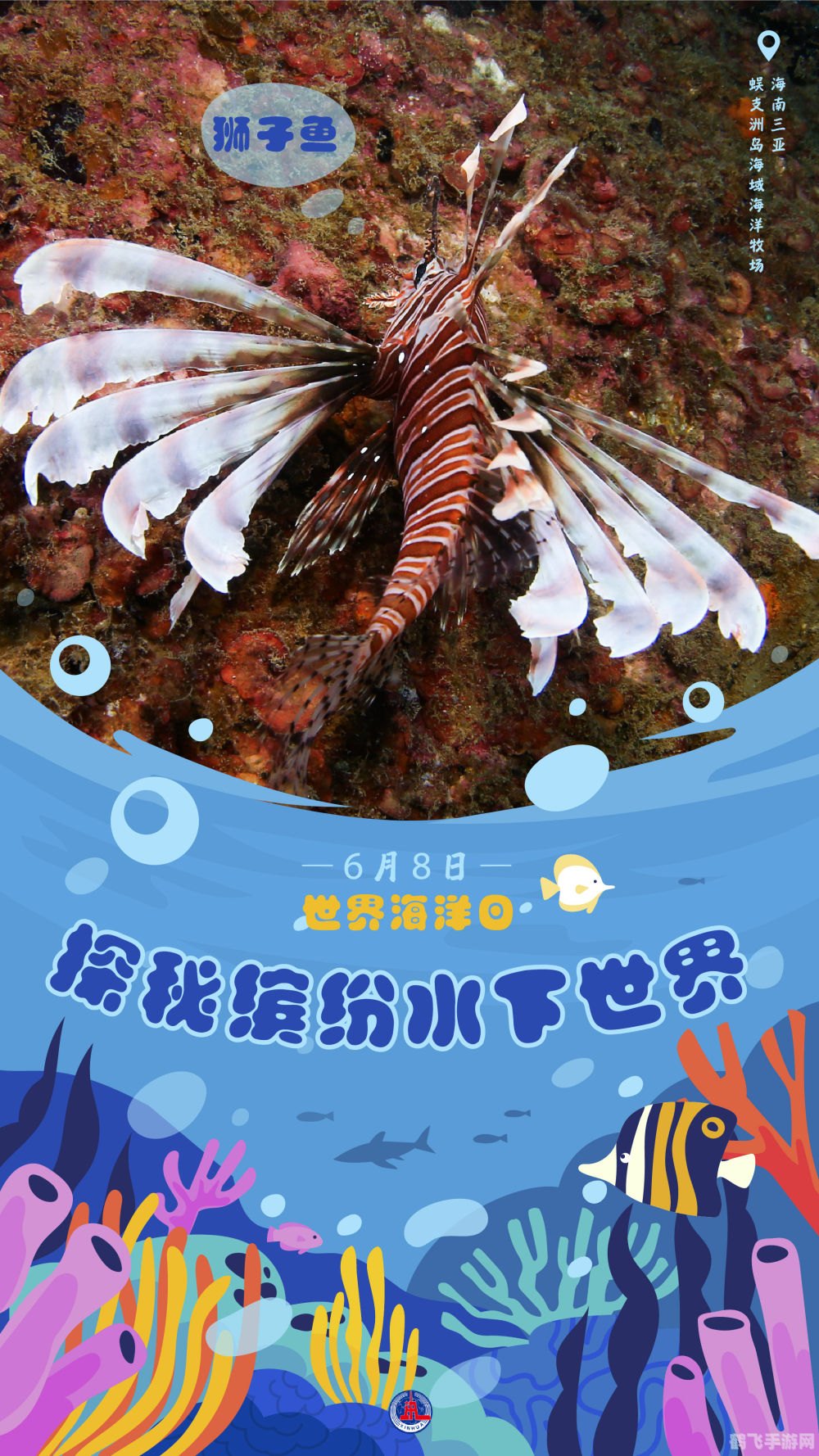 梦幻海底小黑攻略，探秘神秘海底世界