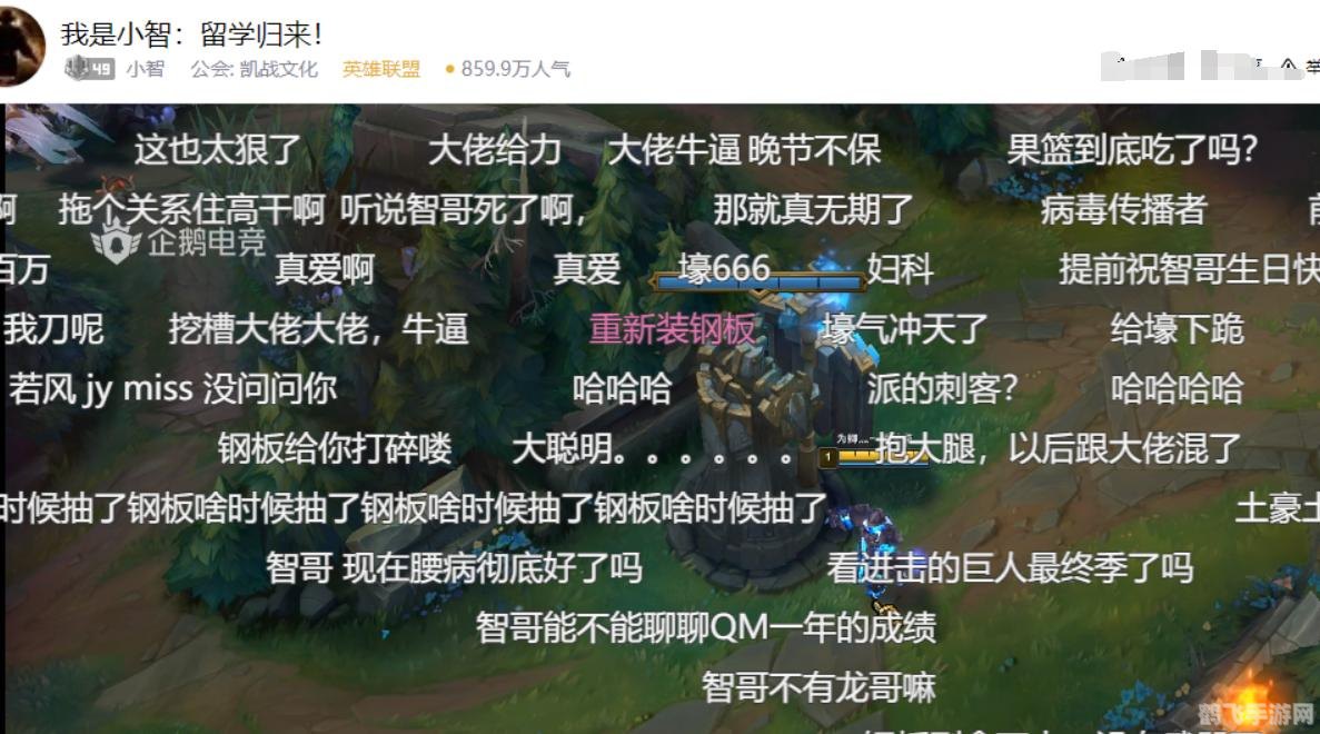 小智lol,LOL传奇解说小智,游戏技巧与精彩瞬间