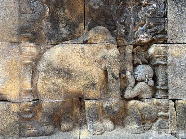 cf元素个人空间,穿越火线元素个人空间探秘 cf元素个人空间,穿越火线元素个人空间探秘