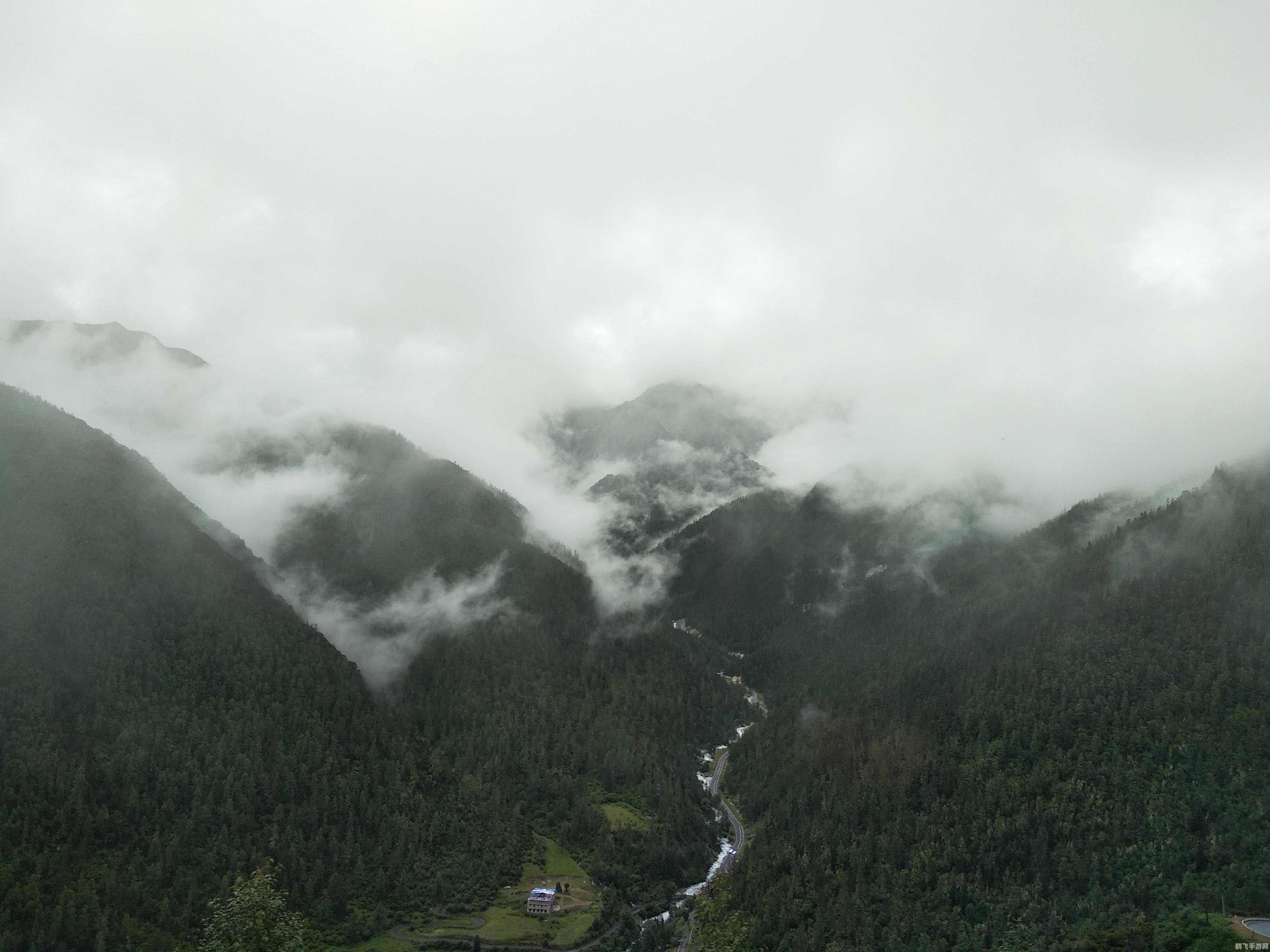 4399小游戏洛克王国,洛克王国探险指南，成为顶级小洛克