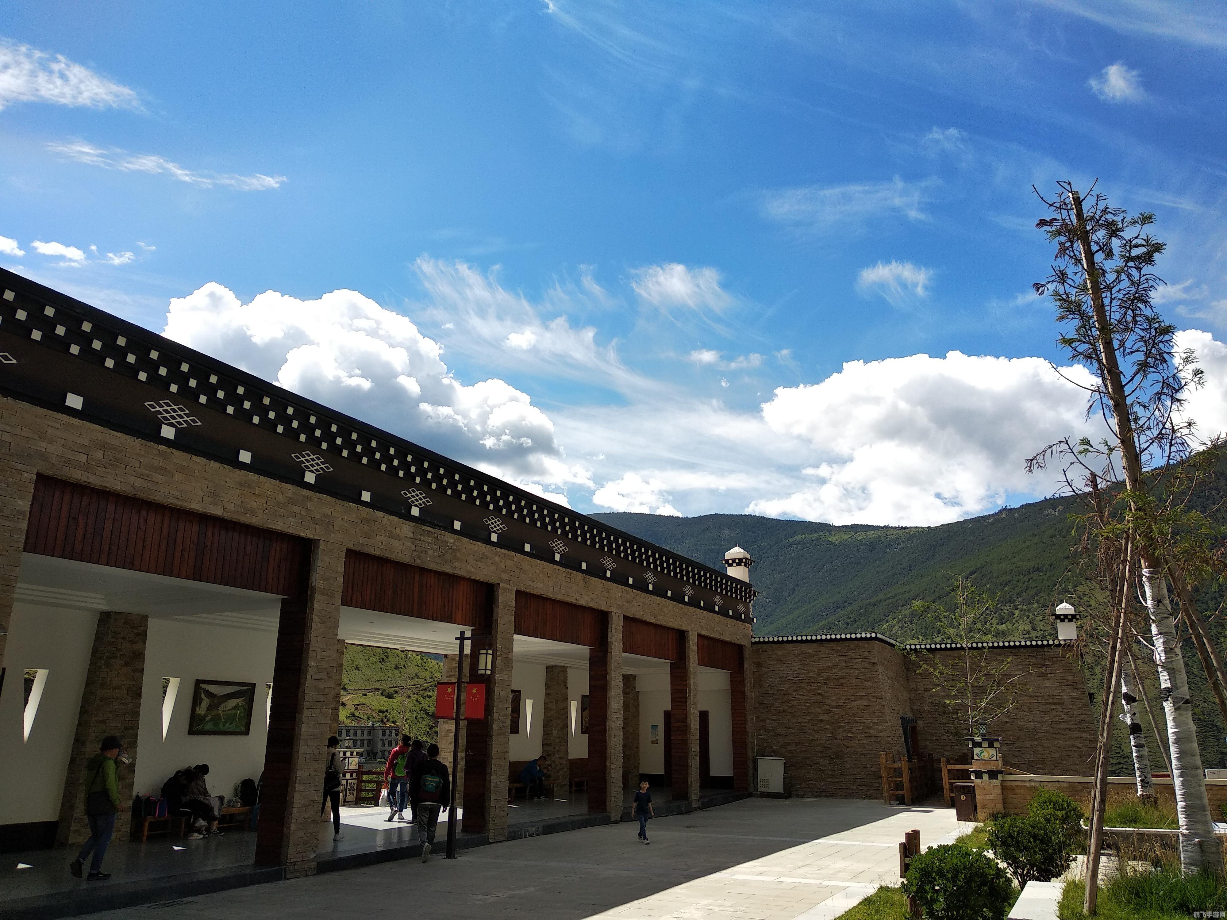 4399小游戏洛克王国,洛克王国探险指南，成为顶级小洛克