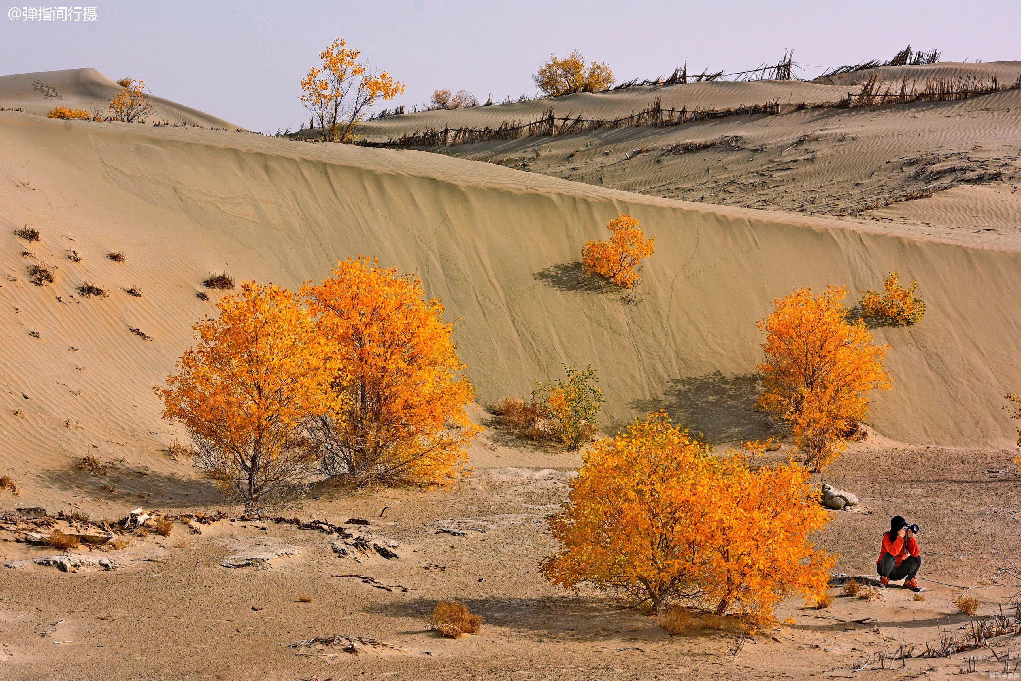 魔兽世界好玩吗,魔兽世界,探索奇幻大陆的终极攻略