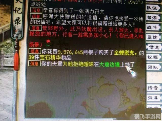 大话西游2脚本错误,大话西游2