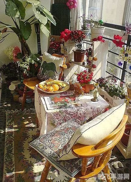 小精卫加点攻略，打造均衡发展的战斗宠物