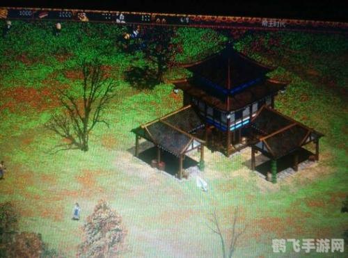 帝国时代2花屏问题解决方案大揭秘