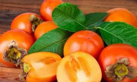 空腹吃柿子不舒服是因为柿子含有,空腹吃柿子不适之源,柿子成分解析与手游攻略的双重探索