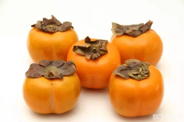 空腹吃柿子不舒服是因为柿子含有,空腹吃柿子不适之源，柿子成分解析与手游攻略的双重探索