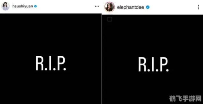 r.i.p什么梗,R.I.P.起源与意义