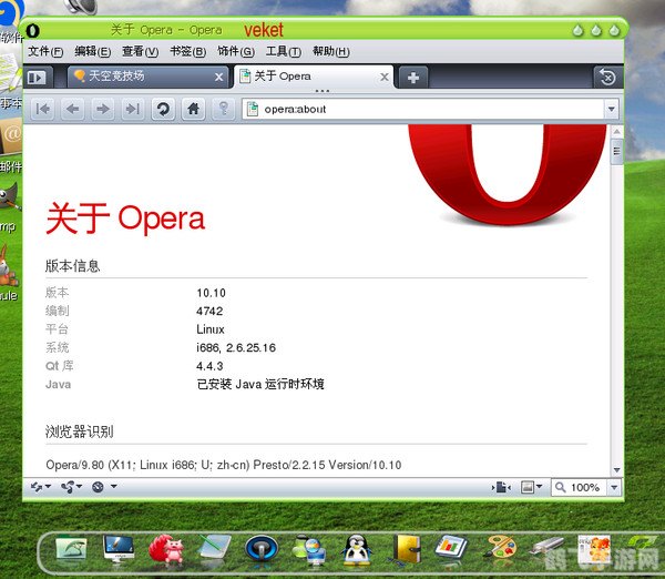 opera浏览器中文版,Opera浏览器中文版，游戏玩家的首选浏览器