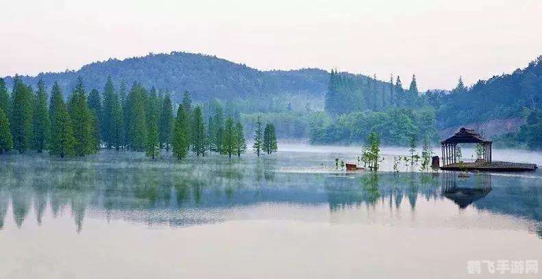 梦幻仙境手游攻略,掌握这些技巧,轻松成为游戏高手!