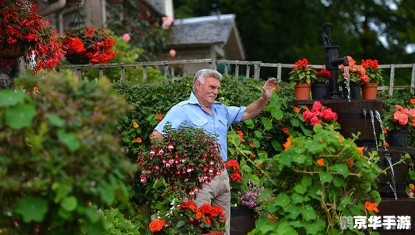 玫瑰小镇嫁接表,玫瑰小镇嫁接攻略，打造独一无二的花园