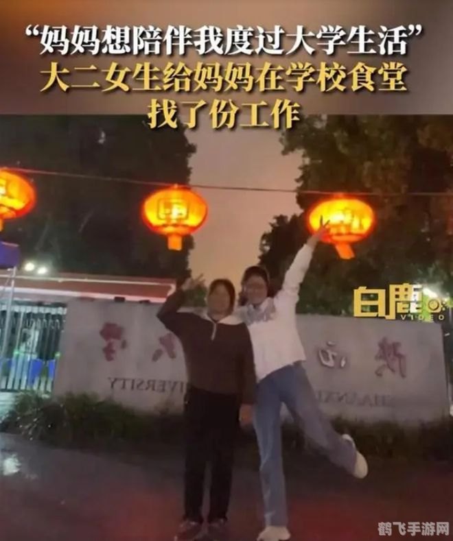 阿姨压一压,阿姨压一压手游攻略，成为压轴高手的秘诀