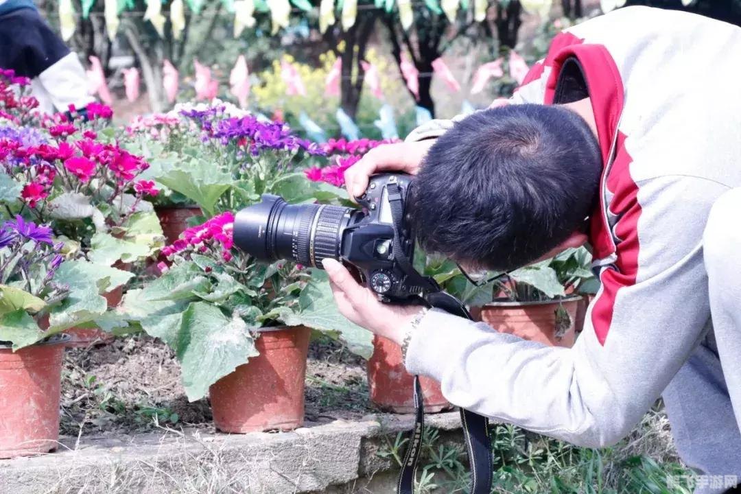 扇子蚂蚁庄园手游攻略，如何巧妙利用扇子在古代别称答题
