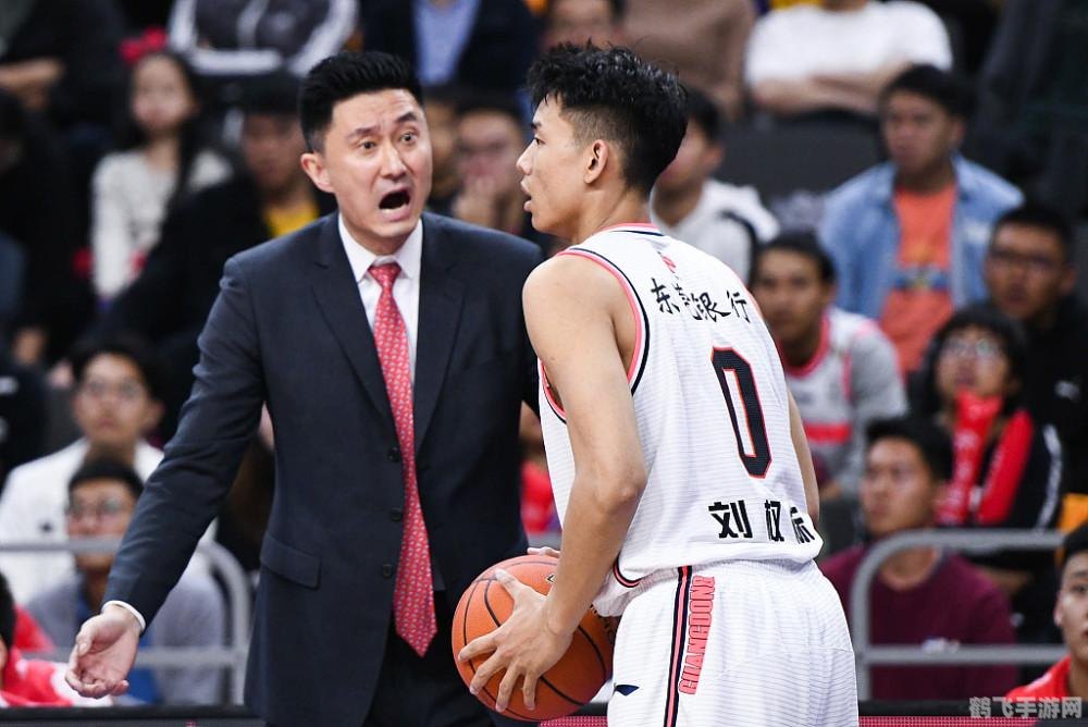 王者荣耀手游高阶攻略,如何成为战场上的MVP