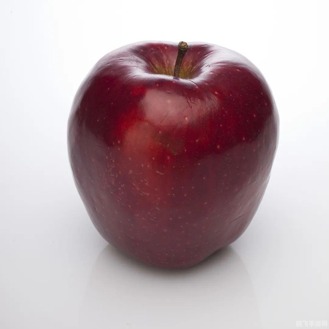 揭秘毛豆与黄豆的奥秘,青年黄豆的游戏冒险