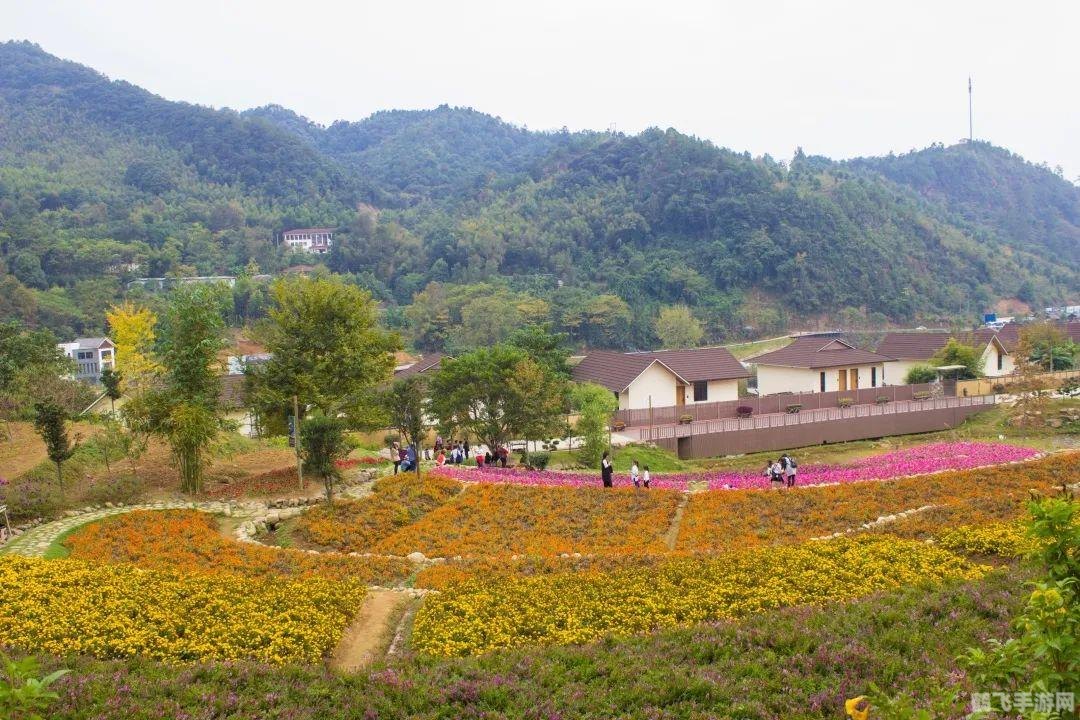 绿野仙踪一区,绿野仙踪一区，探秘仙境，开启非凡冒险！