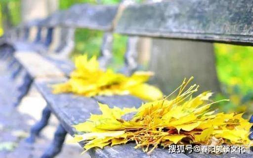 q版生长球,Q版生长球手游攻略，打造你的可爱空中岛屿