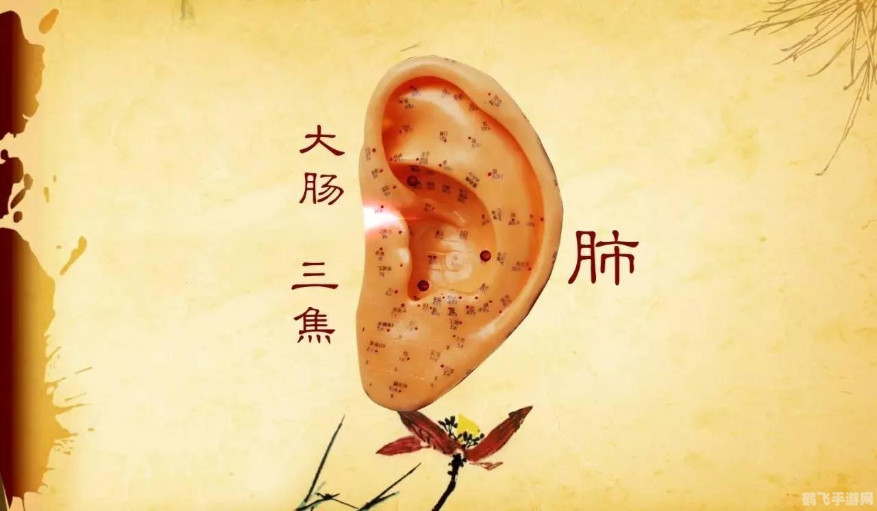 有些人的耳朵可以动来动去其实是,揭秘耳朵动来动去的神秘能力,探索人体奇妙机能!