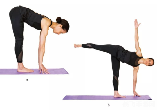 抱头式仰卧起坐,抱头式仰卧起坐,手游健身新玩法,挑战你的核心力量!