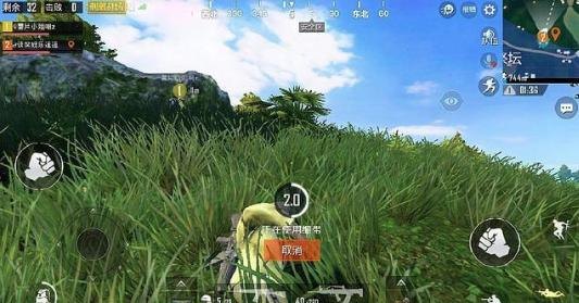 丛林野战排手游攻略,勇闯丛林,制胜战场