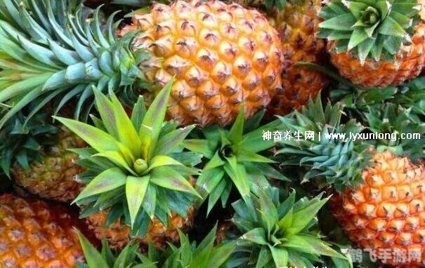 男生多吃菠萝什么梗,男生多吃菠萝背后的梗与真相解析