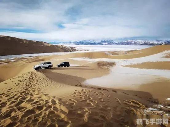 探秘2023无人区码，一码、二码、三码全解析