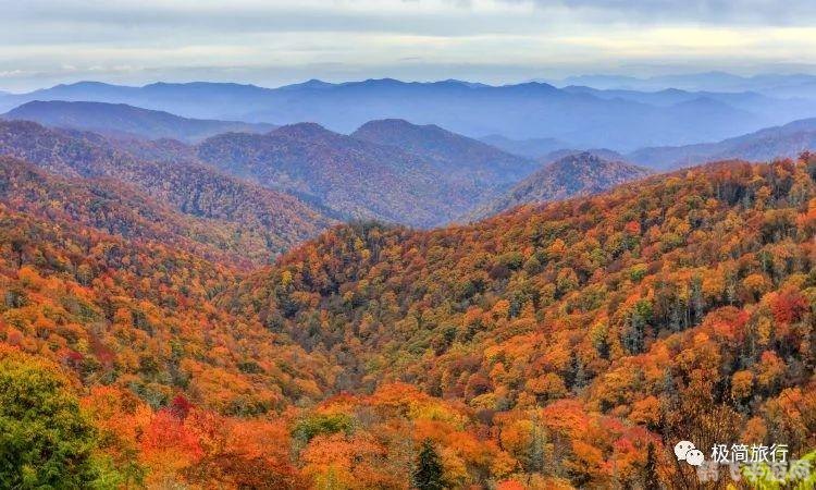 探索仙境传说手游，玩法攻略与技巧大揭秘