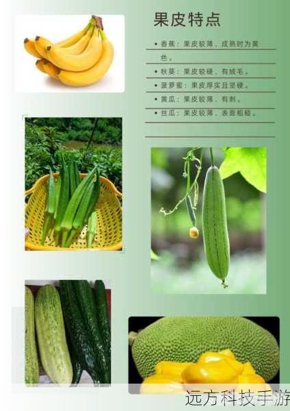 丝瓜秋葵草莓香蕉榴莲绿,丝瓜秋葵草莓香蕉榴莲绿,奇果盛宴,游戏新体验!