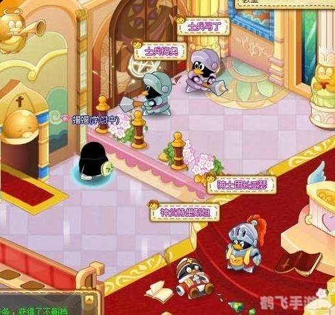 QQ宠物结婚系统全攻略，让爱宠步入婚姻殿堂