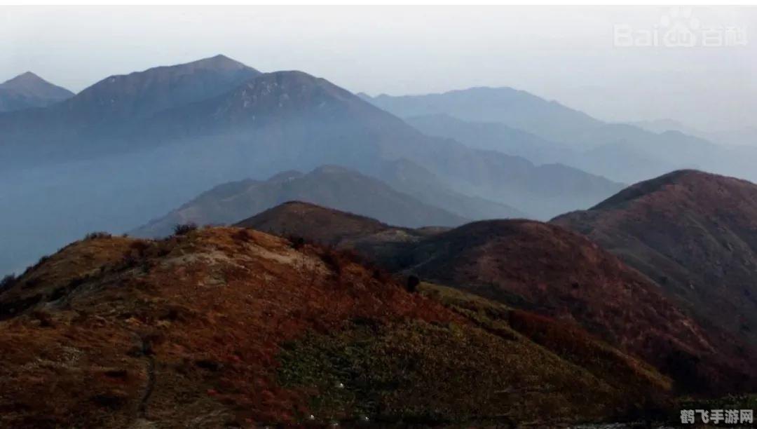 周易起名软件v6.0,周易起名软件v6.0助力游戏角色命名，打造个性化游戏体验