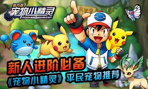 宠物小精灵dp目录,宠物小精灵DP手游全攻略,成为顶级训练家的秘诀