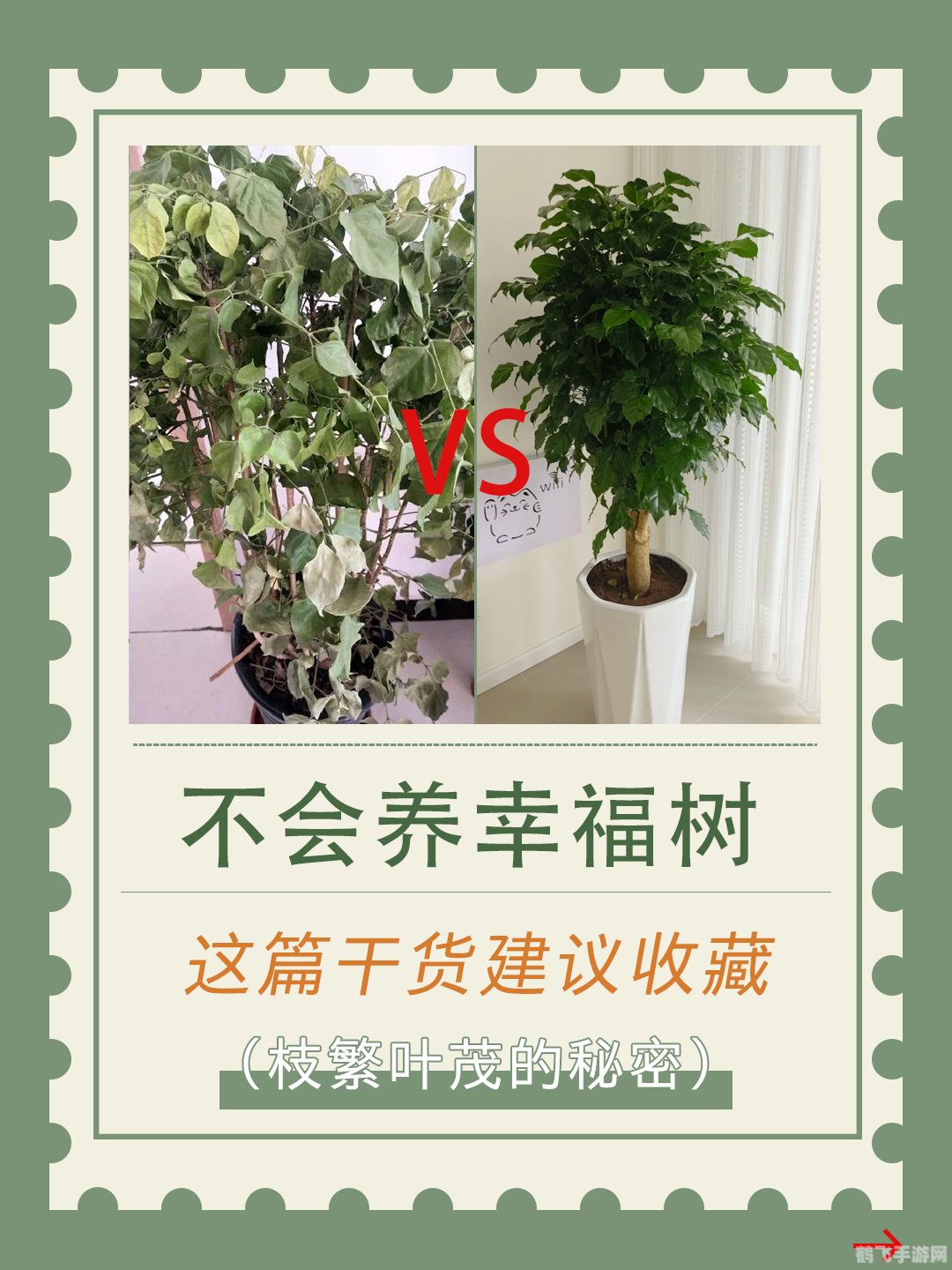 迅雷7.9幸福树，养成攻略与玩法详解