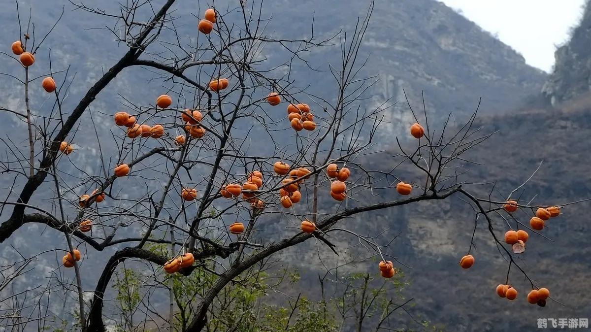 风骨潇潇录手游攻略，成为江湖传奇