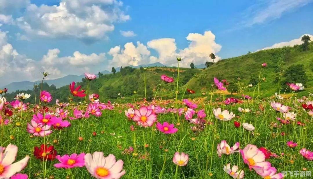 后来遇见他陪我春秋冬夏,邂逅