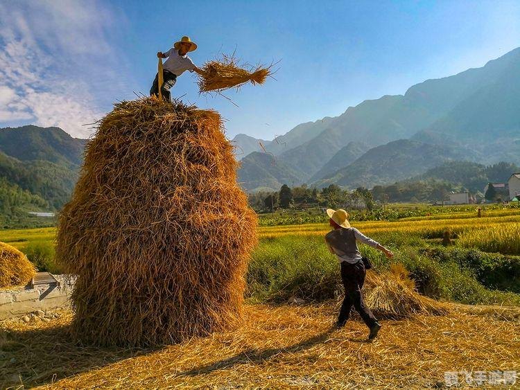 官方qq群,手游大师教你玩转热门手游，官方QQ群里的高手攻略