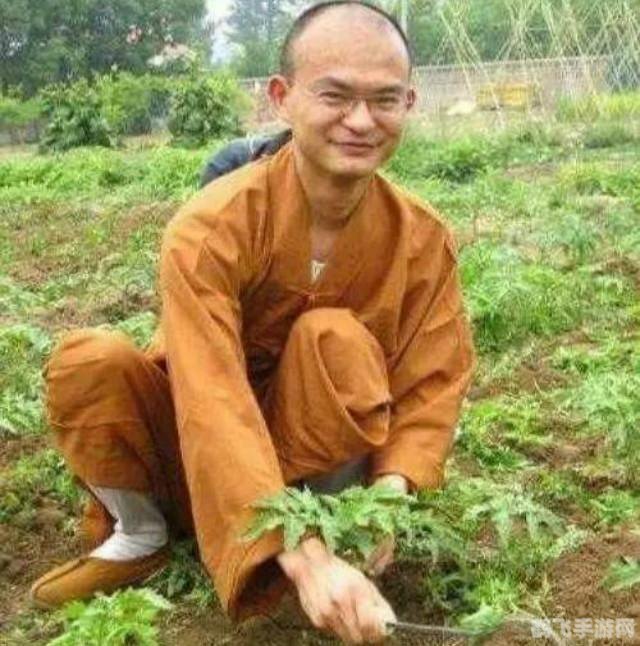 昨天已经过去所有的伤心和烦恼,昨日烦恼尽散，手游新篇章——全面攻略助你畅游游戏世界