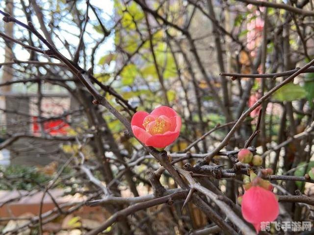 蜜茶1v1车厘崽海棠,蜜茶1v1