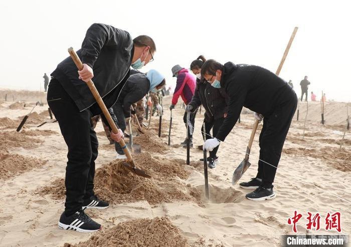 绿色兵团论坛,绿色兵团手游攻略,如何成为战场之王