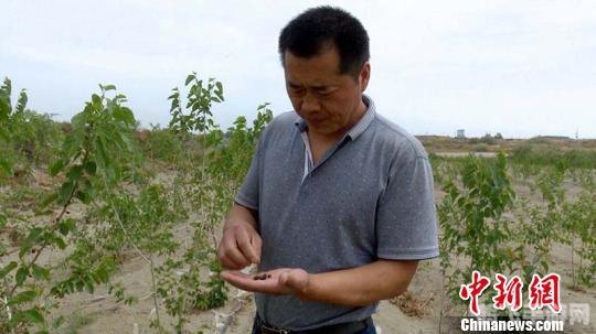 绿色兵团论坛,绿色兵团手游攻略,如何成为战场之王