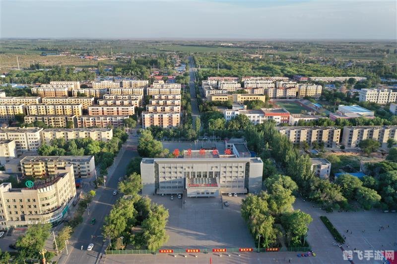 绿色兵团论坛,绿色兵团手游攻略,如何成为战场之王