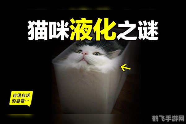 猫咪液态秘籍,探秘手游中的猫液特技与攻略