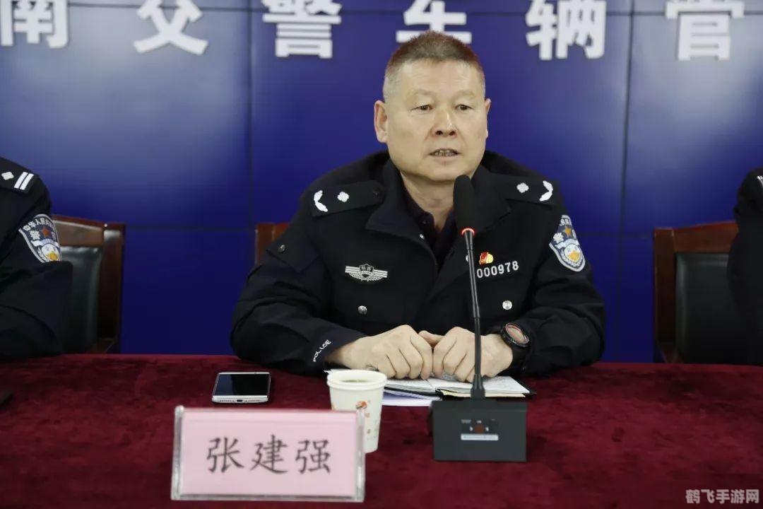 交管12123服务异常,交管12123手游玩法攻略，如何应对服务异常，畅享交通管理乐趣？