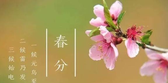 春分到蛋儿俏指的是,春分到，蛋儿俏——探索春分立蛋的传统与游戏攻略