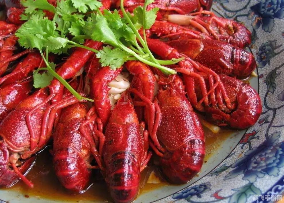 揭秘小龙虾的生理构造，心脏位置与手游中的龙虾探险攻略