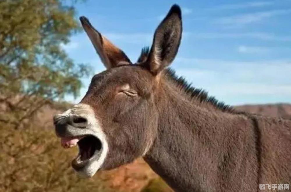 探秘神奇杂交动物——骡子，手游中的另类养成体验