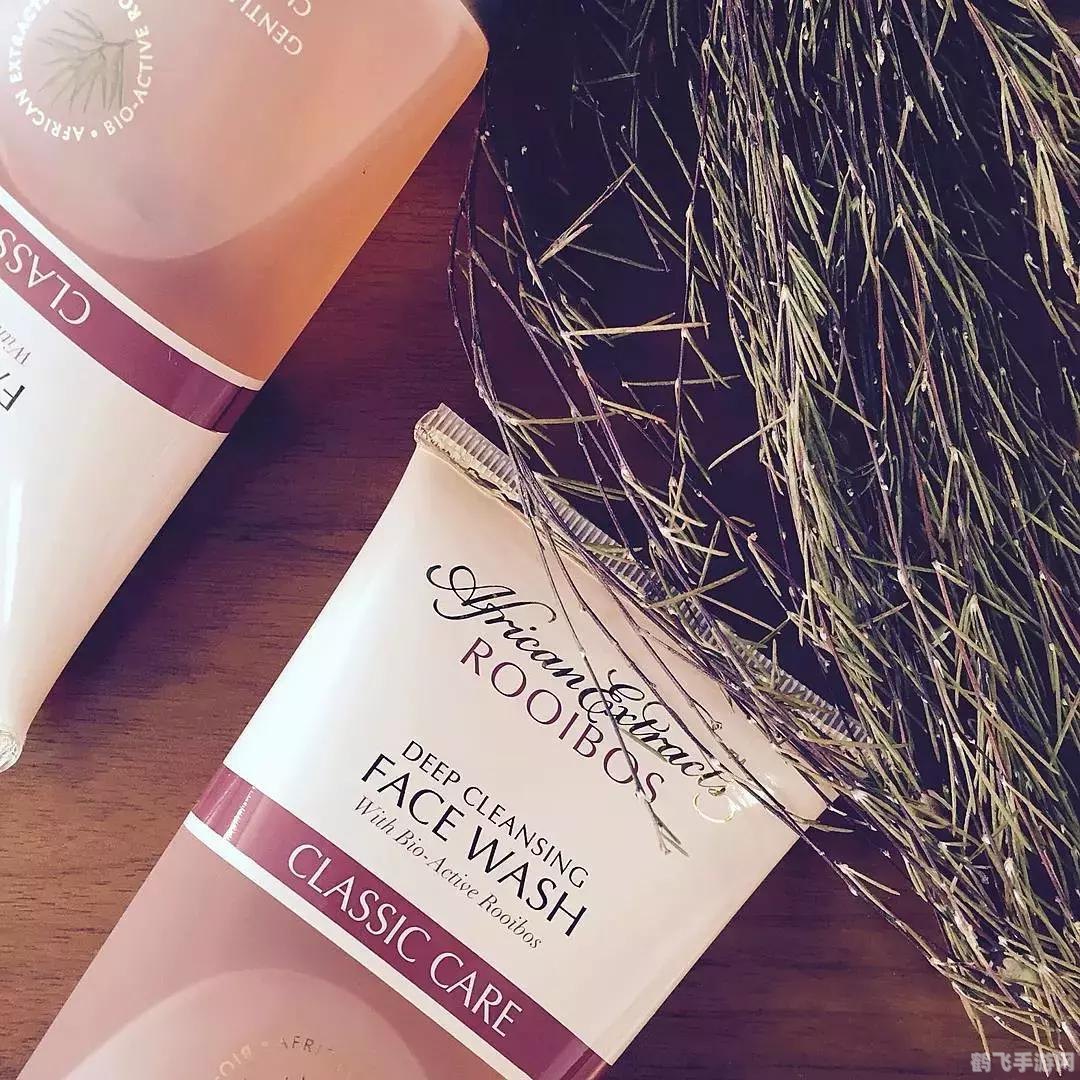 揭秘我的琥珀色能量游戏攻略与资讯全解析